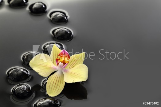 Bild på Black Zen stones and orchid on calm water background